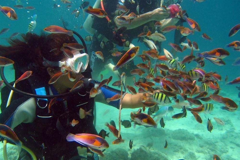 Bluewater Panglao Resort Dış mekan fotoğraf